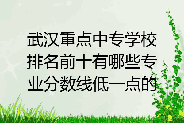 武汉重点中专学校排名前十有哪些专业分数线低一点的