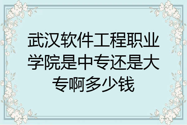 武汉软件工程职业学院是中专还是大专啊多少钱