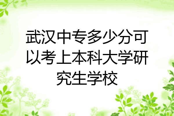 武汉中专多少分可以考上本科大学研究生学校