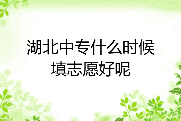 湖北中专什么时候填志愿好呢