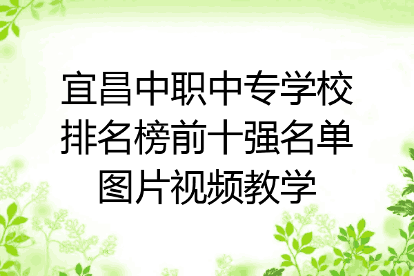 宜昌中职中专学校排名榜前十强名单图片视频教学