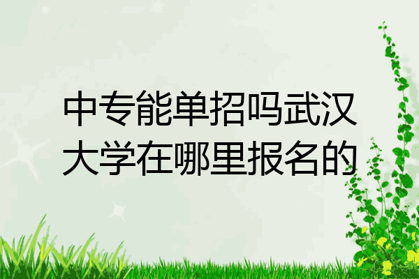 中专能单招吗武汉大学在哪里报名的