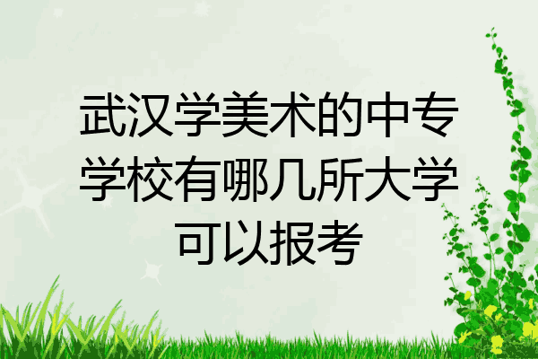 武汉学美术的中专学校有哪几所大学可以报考