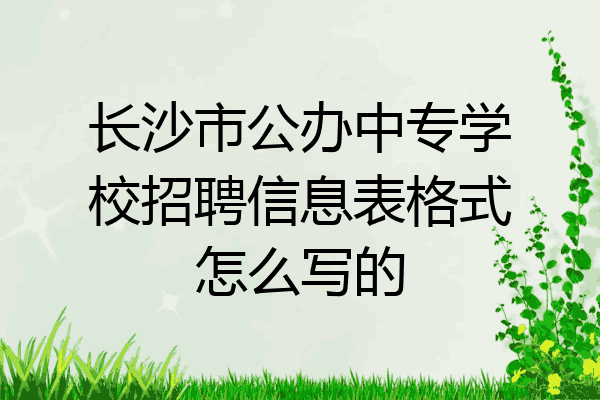 长沙市公办中专学校招聘信息表格式怎么写的