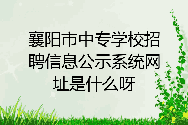 襄阳市中专学校招聘信息公示系统网址是什么呀