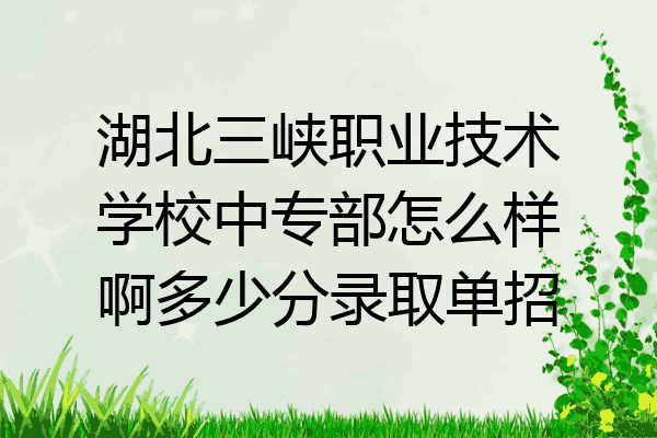 湖北三峡职业技术学校中专部怎么样啊多少分录取单招