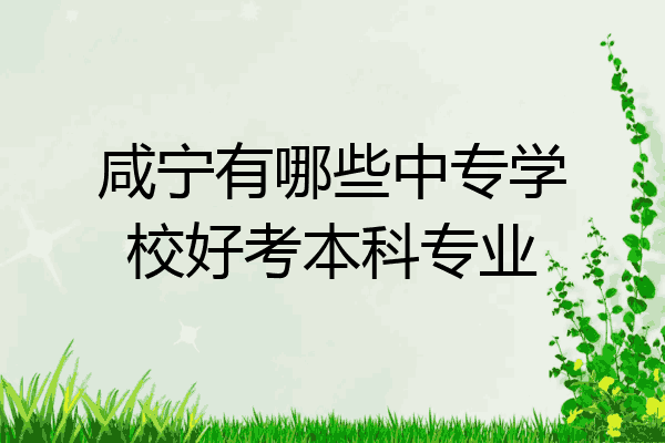 咸宁有哪些中专学校好考本科专业