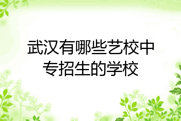 武汉有哪些艺校中专招生的学校
