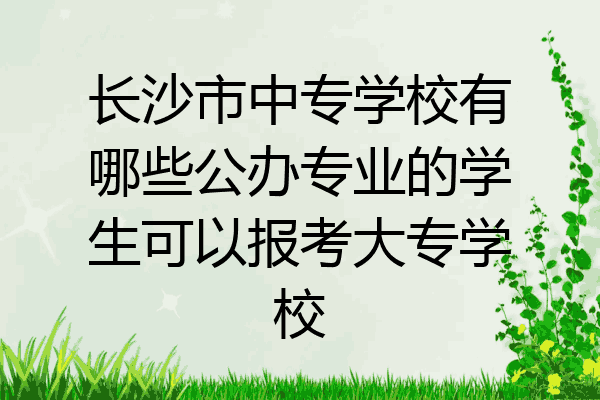 长沙市中专学校有哪些公办专业的学生可以报考大专学校