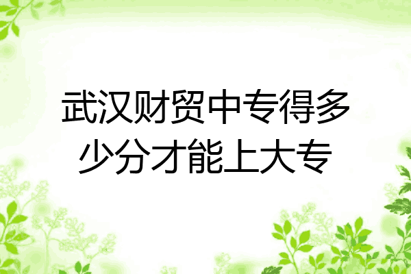 武汉财贸中专得多少分才能上大专