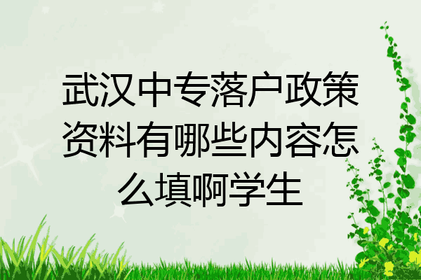 武汉中专落户政策资料有哪些内容怎么填啊学生