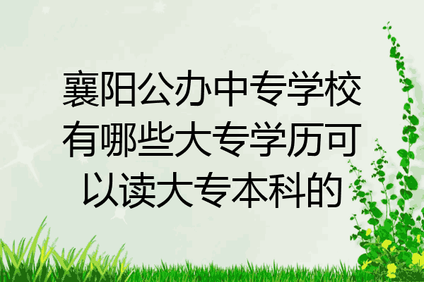 襄阳公办中专学校有哪些大专学历可以读大专本科的