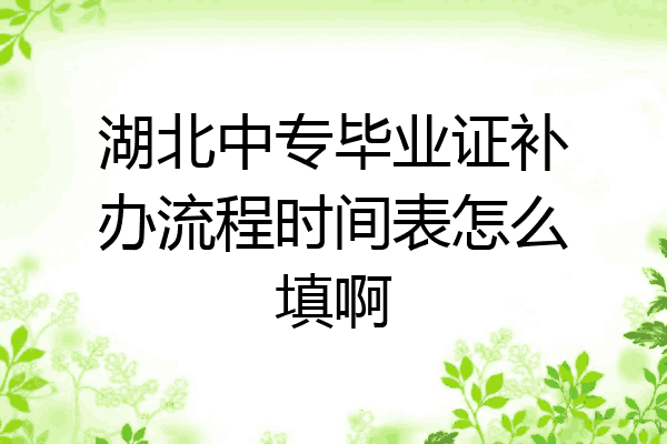 湖北中专毕业证补办流程时间表怎么填啊