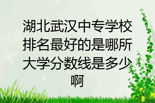湖北武汉中专学校排名最好的是哪所大学分数线是多少啊