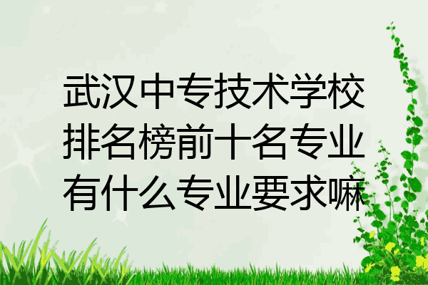 武汉中专技术学校排名榜前十名专业有什么专业要求嘛