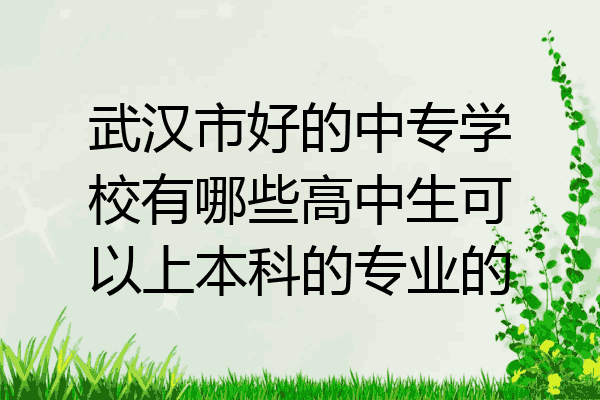 武汉市好的中专学校有哪些高中生可以上本科的专业的
