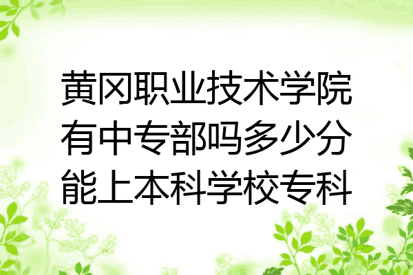 黄冈职业技术学院有中专部吗多少分能上本科学校专科