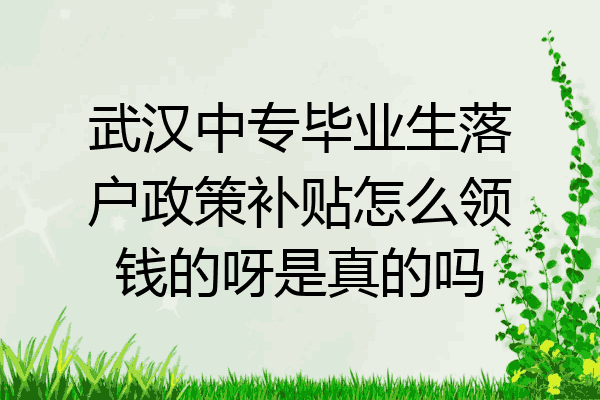 武汉中专毕业生落户政策补贴怎么领钱的呀是真的吗