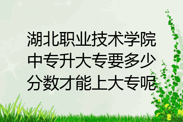 湖北职业技术学院中专升大专要多少分数才能上大专呢
