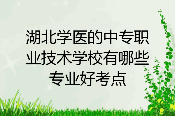 湖北学医的中专职业技术学校有哪些专业好考点