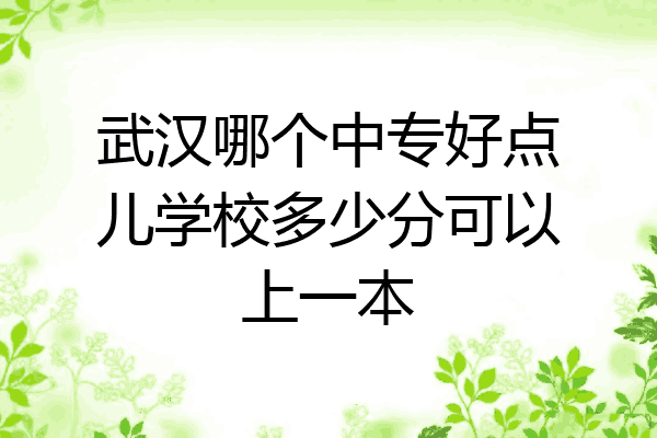 武汉哪个中专好点儿学校多少分可以上一本