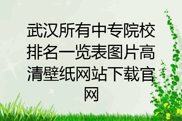 武汉所有中专院校排名一览表图片高清壁纸网站下载官网