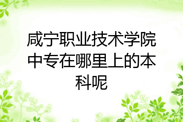 咸宁职业技术学院中专在哪里上的本科呢