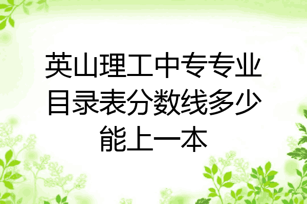 英山理工中专专业目录表分数线多少能上一本