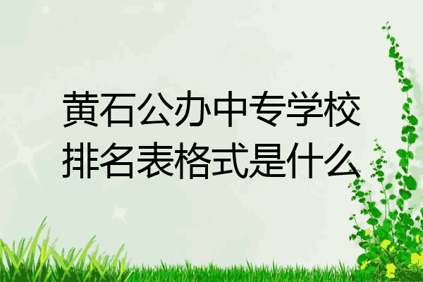 黄石公办中专学校排名表格式是什么