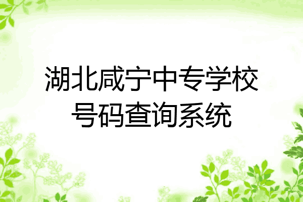 湖北咸宁中专学校号码查询系统