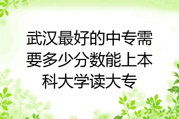 武汉最好的中专需要多少分数能上本科大学读大专