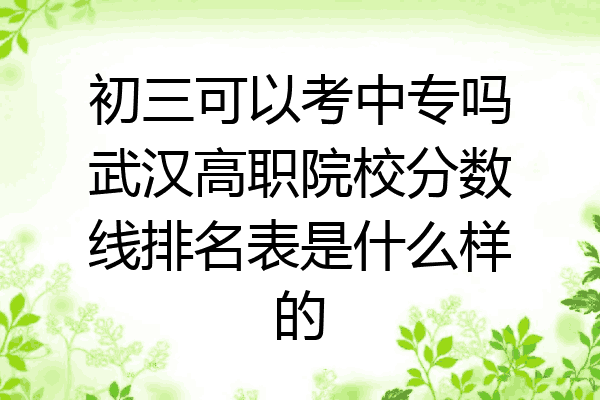 初三可以考中专吗武汉高职院校分数线排名表是什么样的