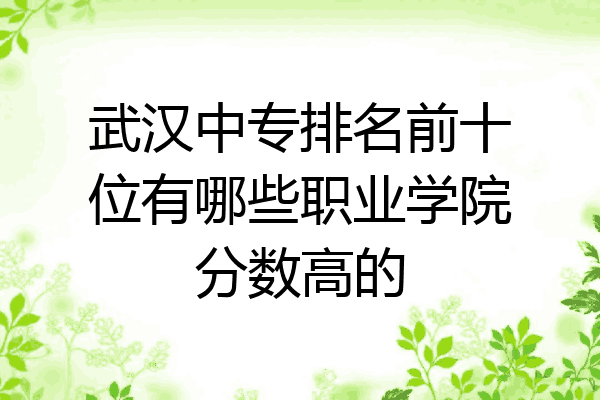 武汉中专排名前十位有哪些职业学院分数高的
