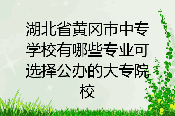 湖北省黄冈市中专学校有哪些专业可选择公办的大专院校