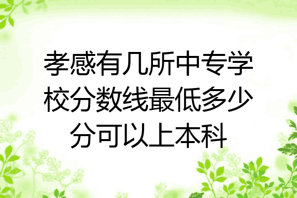孝感有几所中专学校分数线最低多少分可以上本科