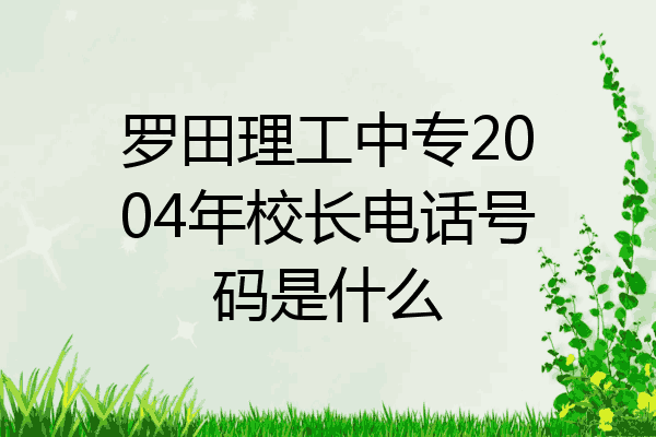 罗田理工中专2004年校长电话号码是什么