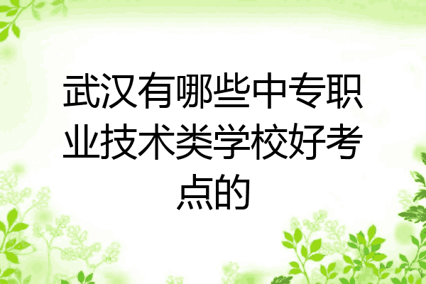 武汉有哪些中专职业技术类学校好考点的