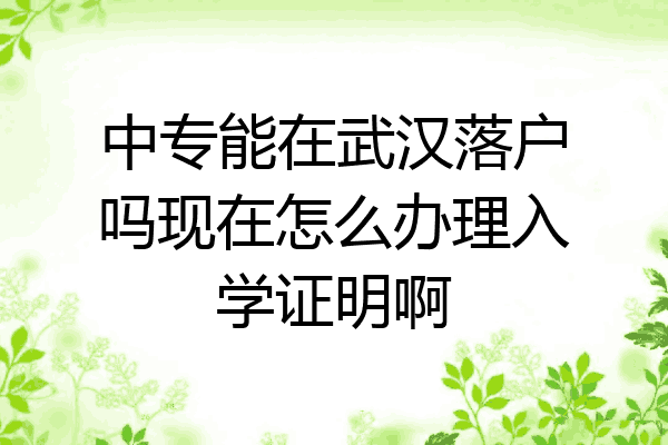 中专能在武汉落户吗现在怎么办理入学证明啊