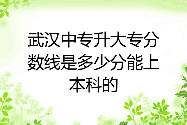 武汉中专升大专分数线是多少分能上本科的