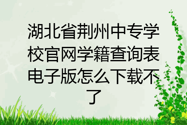 湖北省荆州中专学校官网学籍查询表电子版怎么下载不了