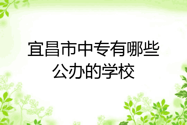 宜昌市中专有哪些公办的学校