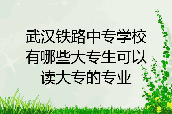 武汉铁路中专学校有哪些大专生可以读大专的专业