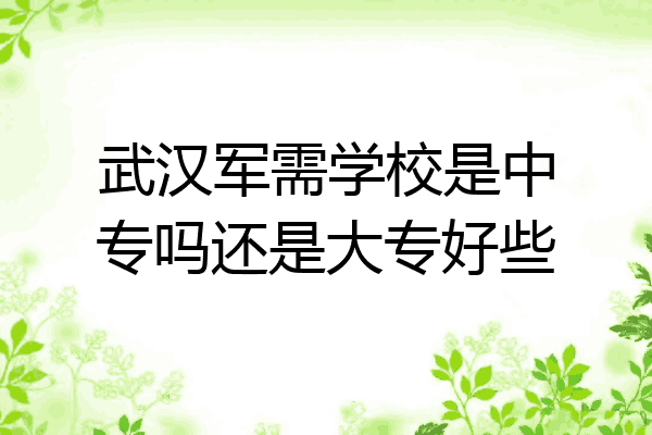 武汉军需学校是中专吗还是大专好些