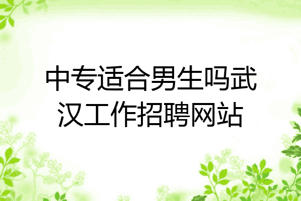 中专适合男生吗武汉工作招聘网站