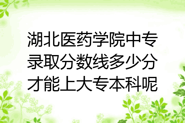 湖北医药学院中专录取分数线多少分才能上大专本科呢