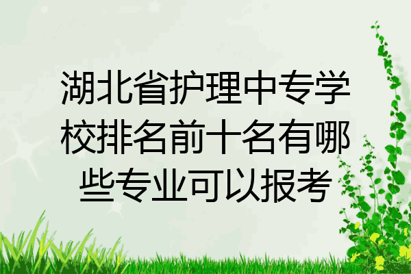 湖北省护理中专学校排名前十名有哪些专业可以报考