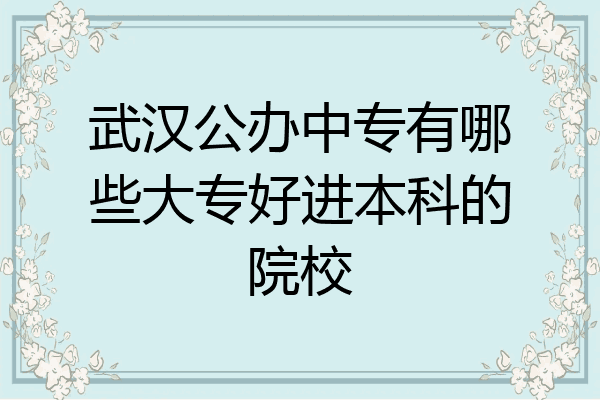 武汉公办中专有哪些大专好进本科的院校