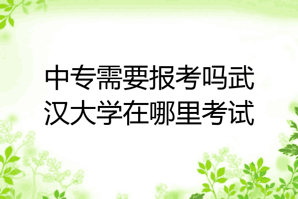 中专需要报考吗武汉大学在哪里考试