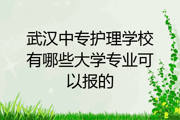 武汉中专护理学校有哪些大学专业可以报的