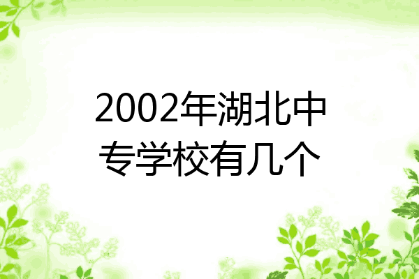 2002年湖北中专学校有几个